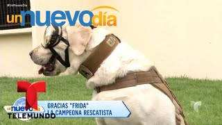 ¡Frida es la perrita heroína del terremoto en México  Un Nuevo Día  Telemundo [upl. by Ewall389]