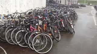 Amsterdams Bike Graveyard [upl. by Christian]