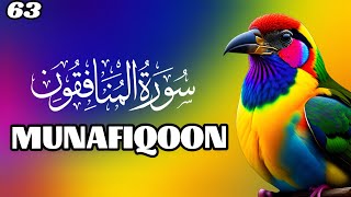 Surah AlMunafiqun Full  By Sheikh Shaikh  With Arabic Text  63سورۃ المنافقون [upl. by Ailema]