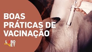 BOAS PRÁTICAS DE VACINAÇÃO com o Médico Veterinário Luiz Henrique [upl. by Nyrmak897]