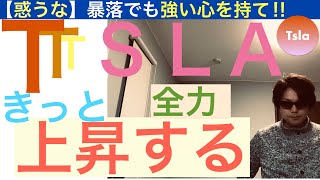 TSLAテスラ株価はきっと上昇する【全力】暴落でも強い心を持て‼︎数年後に蹴散らして行くぞ [upl. by Llenahs]