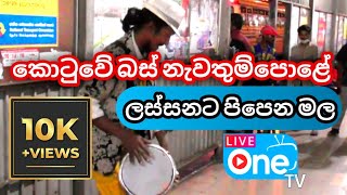 Lassnata Pipuna  ලස්සනට පිපුන වන මල්  LiveOne TV [upl. by Malvina]