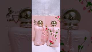 Delina Limited Edition perfume fragrance [upl. by Nodarb993]