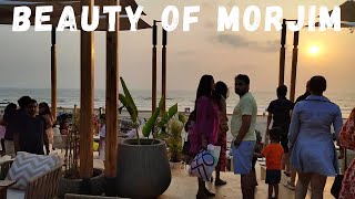 Most Beautiful Places Here In Morjim Beach Goa  Saz On The Beach Morjim  Goa Vlog [upl. by Rumney]