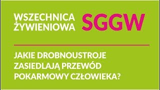 Jakie drobnoustroje zasiedlają przewód pokarmowy człowieka [upl. by Hamas]