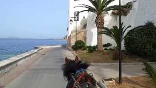 ISLAND OF SPETSES HORSE CARRIAGE TOUR [upl. by Nnylaehs]