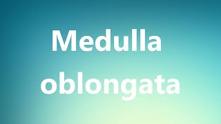 Medulla oblongata  Medical Meaning and Pronunciation [upl. by Nyleuqcaj727]