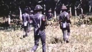 1971 Bangladesh Freedom fight [upl. by Olraced]