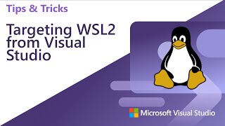 Targeting WSL2 from Visual Studio 2022 [upl. by Elletsyrc217]