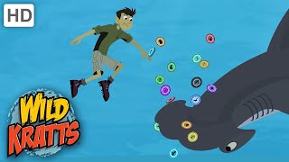 Wild Kratts  Kratts Find A Hammerhead SHARKS [upl. by Dahl]