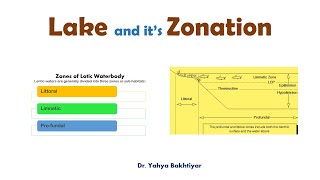 14 Lake and its Zonation Lake Zonation Zones of a Lake [upl. by Ardnuassak]