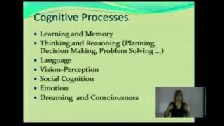 Cognition and Cognitive Processes CP [upl. by Theda]