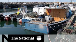 NS lobster dispute could have lasting consequences [upl. by Ellehcan]