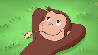 Wheres the Firedog 🐵Curious George 🐵 Kids Cartoon 🐵Kids Movies 🐵Videos for Kids [upl. by Ttevy136]