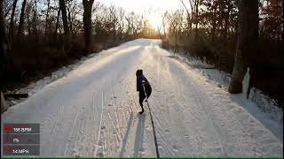 A Mediocre Skier and a Very Good Boy attempt the City of Lakes Loppet Sunday 10k Skijor 2024 [upl. by Anaud932]