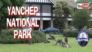 Yanchep National Park  Updated  Western Australia [upl. by Oiluig]