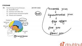 Sutural joints are found between [upl. by Anselmi]