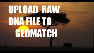 How to Upload AncestryDNA file to Gedmatchcom  DNA program tutorial [upl. by Payne]