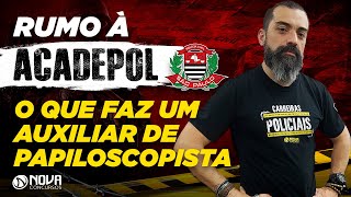 O que faz um Auxiliar de Papiloscopista da Polícia Civil SP  Rumo à Acadepol [upl. by Zelde524]