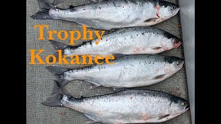 Lake Roosevelt Spring Kokanee Fishing [upl. by Pogue]