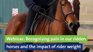 Webinar Recognising pain in our ridden horses and the impact of rider weight [upl. by Ainevul]