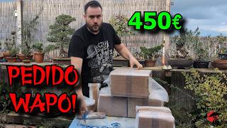 Bonsai UNBOXING premio sorteo BonsaiGranada [upl. by Nikolaus635]