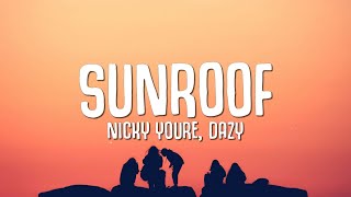 Nicky Youre dazy  Sunroof Lyrics i got my head out the sunroof [upl. by Liss]