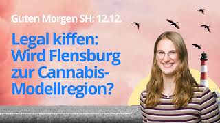 Guten Morgen SH Legal kiffen – Wird Flensburg zur CannabisModellregion [upl. by Akemahs]