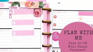 Plan with Me mini Happy Planner June 1218 [upl. by Yntrok875]