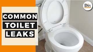 How To Find My Toilet Leak  Common Toilet Leaks  DIY Toilet Repair [upl. by Ayek307]