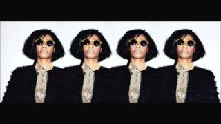 Santigold  Disparate Youth The 2 Bears Remix [upl. by Ardme555]