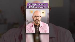 NEVER do these things to your cats cats jacksongalaxy [upl. by Okime569]