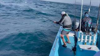 Yellowtail Fishing at Cedros Island [upl. by Eduard]