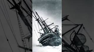 Endurance  SirErnestShackleton ship antarctica 1912 endurance shorts short viralvideo trend [upl. by Emelina]