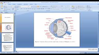 Ocular drug delivery part 3 01 05 2020 [upl. by Esaj]