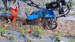 FLOWER FIELD CULTIVATION  9981817652  9HP TILLER MACHINE [upl. by Draneb323]