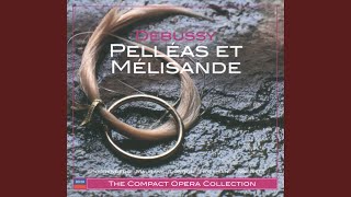 Debussy Pelléas et Mélisande L88  Act 2 Interlude II [upl. by Lyall]