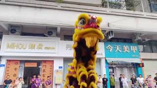 Chinese Lion Dance in Action  World Traditional Dance [upl. by Tanner]