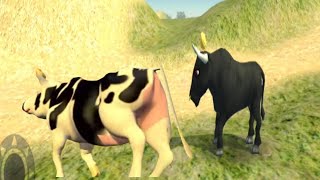 episode no 452cow and bull El pollito pio 3D LA granja de zenon canciones May 2024 [upl. by Crist]