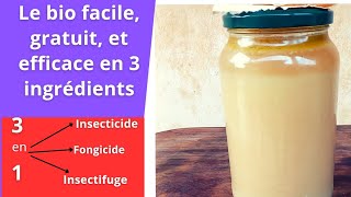 un insecticidefongicide bio facile gratuit et efficace pour vos jardins [upl. by Tegan]