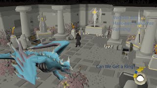 Iron Maximized  OSRS Ironman Progress Series Episode 3Farming Vorkath and the Hallowed Sepulchre [upl. by Gage476]