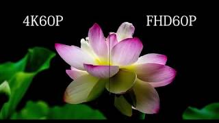 TEST 4K60P vs FHD60P [upl. by Laenaj319]