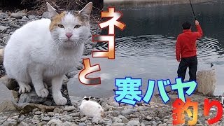 ネコと一緒に寒バヤ釣り Riverfishing Catch amp Eat amp Cat [upl. by Dominga526]