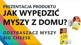 Jak wypędzić myszy z domu przy pomocy ultradźwięków Odstraszacz myszy Big Cheese Sposób na myszy [upl. by Candis]