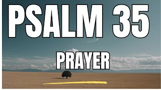 Powerful Psalm 35 Prayer To Find Hope And Healing Now [upl. by Nahtiek]