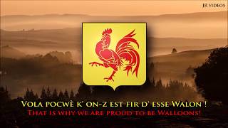 Anthem of Wallonia [upl. by Anuaik438]