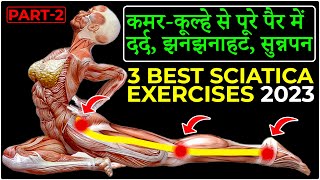 3 Best Sciatica Pain Relief Exercises  Back Pain Hindi 2023 [upl. by Nosnevets]