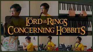 Concerning Hobbits from the Lord of the Rings The Shire  Woodwind Cover  Howard Shore [upl. by Kariotta228]