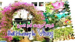 Plant Nursery in Vizag II Devi Sridevi Nursery II వైజాగ్ లో బెస్ట్ నర్సరీ II Plant Nursery [upl. by Hsur]