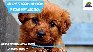 MY TOP 3 FOODS TO AVOID IF YOUR DOG HAS IBS [upl. by Eidaj]